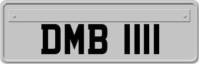 DMB1111