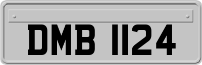 DMB1124