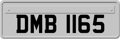 DMB1165