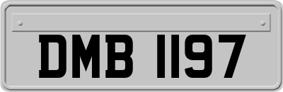 DMB1197