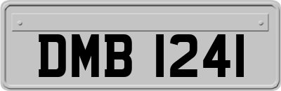 DMB1241