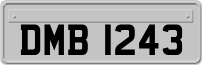 DMB1243