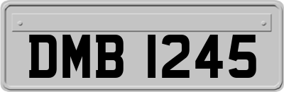 DMB1245