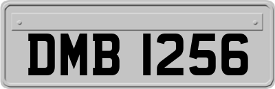 DMB1256