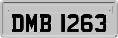DMB1263