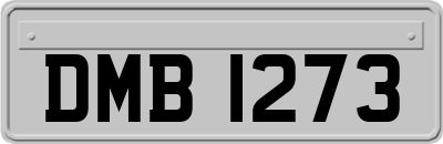 DMB1273