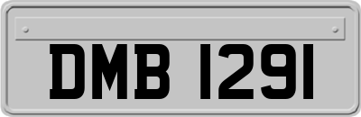DMB1291