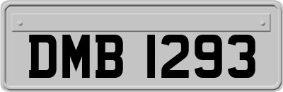 DMB1293