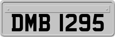 DMB1295