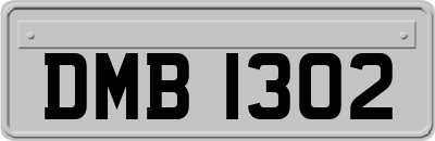 DMB1302