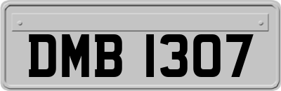 DMB1307