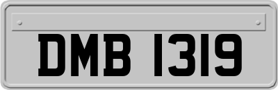 DMB1319