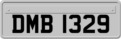 DMB1329