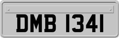 DMB1341