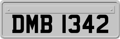 DMB1342