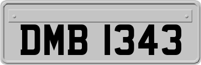 DMB1343