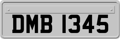 DMB1345
