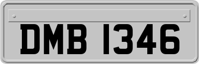 DMB1346