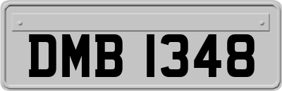 DMB1348