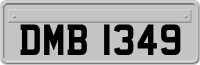 DMB1349