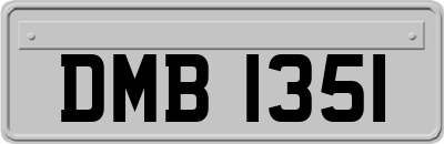 DMB1351