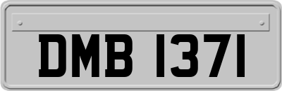 DMB1371