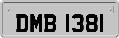 DMB1381