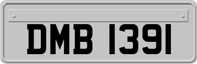 DMB1391