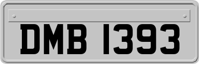 DMB1393