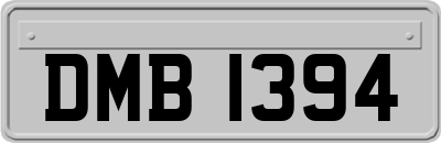 DMB1394
