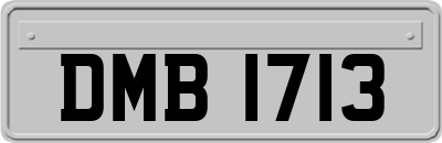 DMB1713