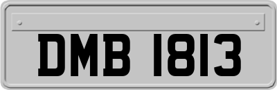 DMB1813