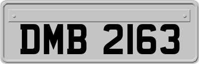 DMB2163