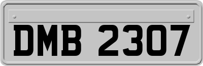 DMB2307