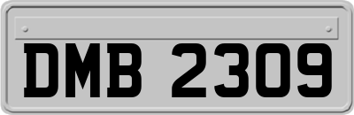 DMB2309