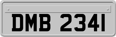 DMB2341