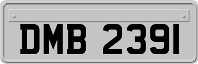 DMB2391