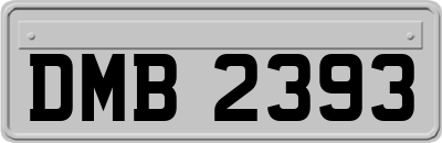 DMB2393