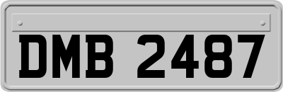 DMB2487