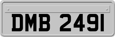 DMB2491