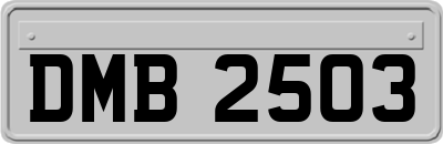 DMB2503
