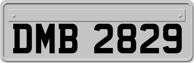 DMB2829