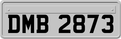 DMB2873