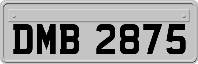 DMB2875
