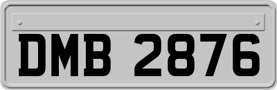 DMB2876
