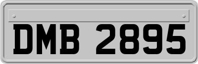 DMB2895