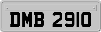 DMB2910