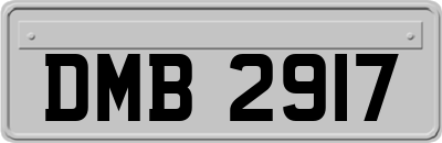 DMB2917