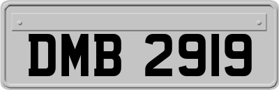 DMB2919