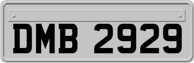 DMB2929